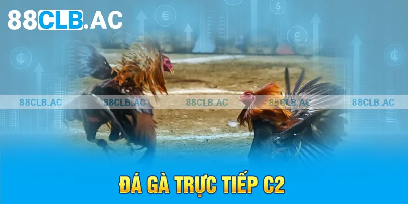 Đá gà trực tiếp C2