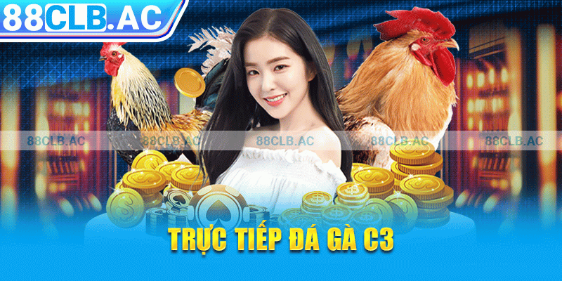 trực tiếp đá gà c3 tại 88clb