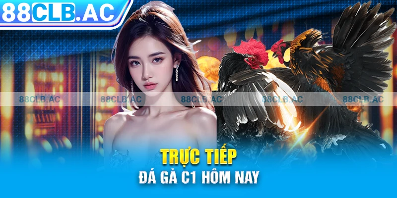 trực tiếp đá gà C1